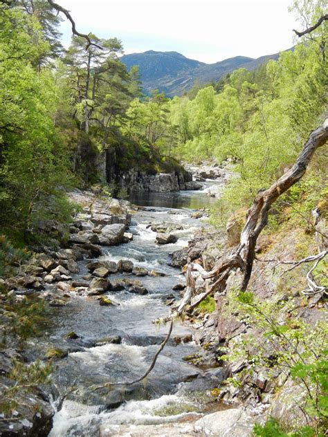 Oh To Be Hiking!: Dog Falls in Glen Affric