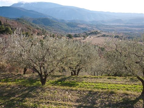 Monday photos: Winter in Provence | JustHungry