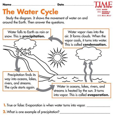 Water Cycle Worksheets 6th Grade | Water cycle worksheet, Water cycle for kids, Water cycle