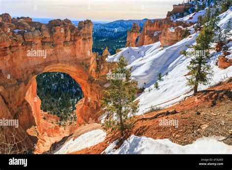 Winter in Bryce Canyon National Park, Utah - USA Stock Photo - Alamy