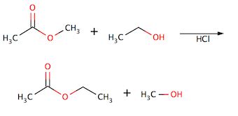 Schmutzig Erhebt euch Party transesterification reaction mechanism ...