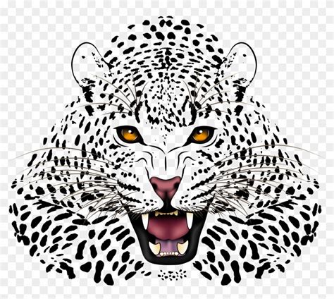 Jaguar Face Vector at Vectorified.com | Collection of Jaguar Face Vector free for personal use