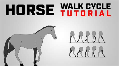 Horse Walk Cycle (Tutorial) | After effects | Motion Graphics ...