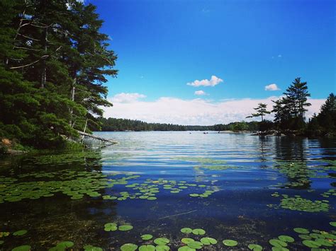 The Tallow Rock Bay Trail- An 11 Km. Hike or Backpacking Trip in Charleston Lake Provincial Park ...