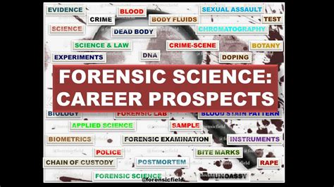 Know All About Forensic Science Careers - YouTube