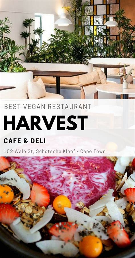 Top 11 Vegan Restaurants in Cape Town | Harvest cafe, Vegan restaurants