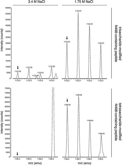 Linkage of ‘low-salinity’ trisaccharide and tetrasaccharide to S-layer... | Download Scientific ...