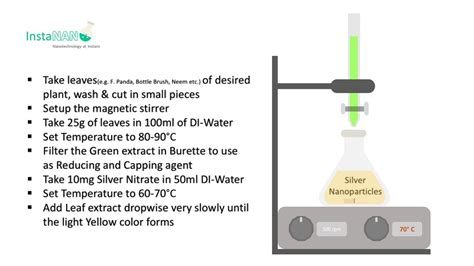 Synthesis of Silver Nanoparticles by Leaf Extract - InstaNANO - YouTube