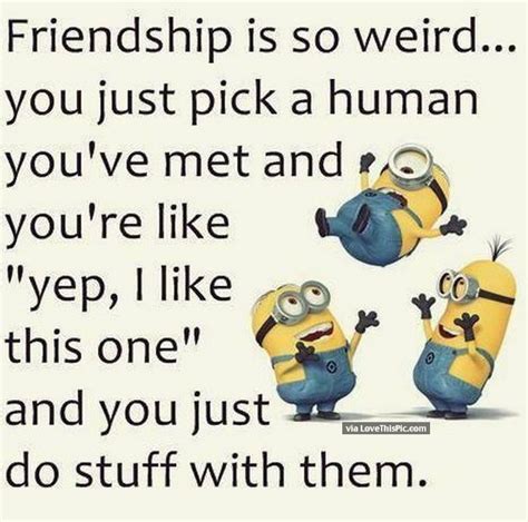 Funny Minion Quotes On Friends - Funny Minion Quotes Of The Week / True friends do not judge ...
