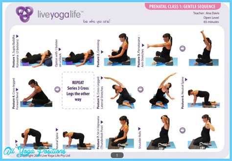 Dru Yoga Poses - AllYogaPositions.com