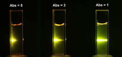 What Is Absorbance Units