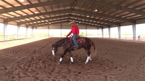 Matt Mills Reining ' How to Teach Your Horse How to Spin Step 1 ' | Horses, Reining horses ...