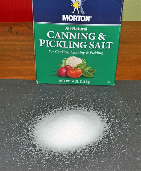 What Is Pickling Salt? | Seed to Pantry