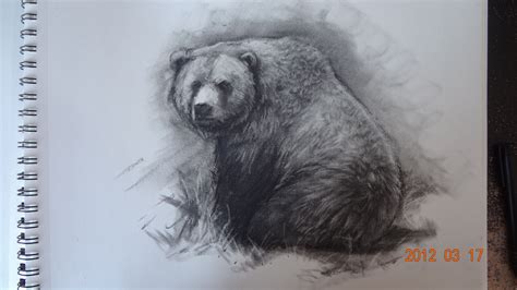 Grizzly Bear Pencil Drawings | In this Material I’m basically showing them the basic shapes ...