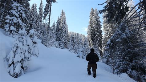 Hiking In The Snow: 10 Helpful Tips To Know Before You Adventure!