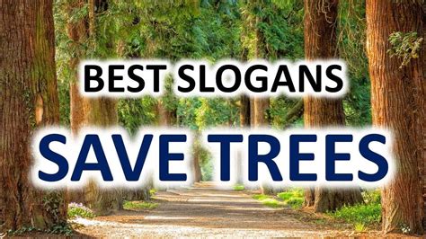 30+ Catchy Slogans on Save Trees – Best and Catchy Save Trees Slogan