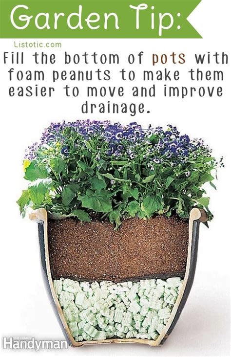 20+ Insanely Clever Gardening Tips and Ideas (flowers & vegetables)