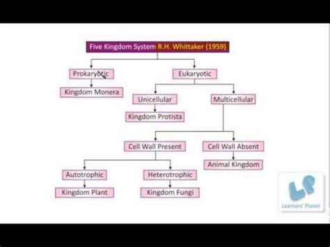 Classification of Living Organisms-Five Kingdom System protista, monera, fungi, plant, animals ...