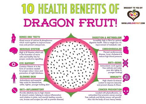 dragon fruit benefits - safesearch.norton.com Image Search Results ...