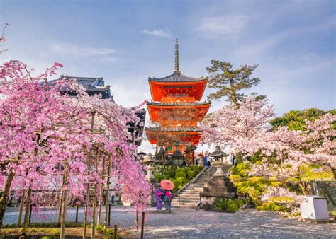 23 Astounding Places to Visit in Japan: If You Could Visit Just One ...