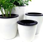 3 Pack Self Watering Planter African Violet Pot Plastic White Flower Plant White | eBay