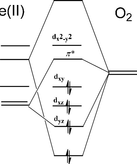 A qualitative molecular orbital scheme of the iron-oxygen complex ...