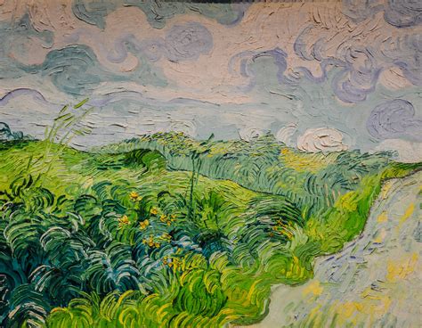 Wheat Fields Van Gogh