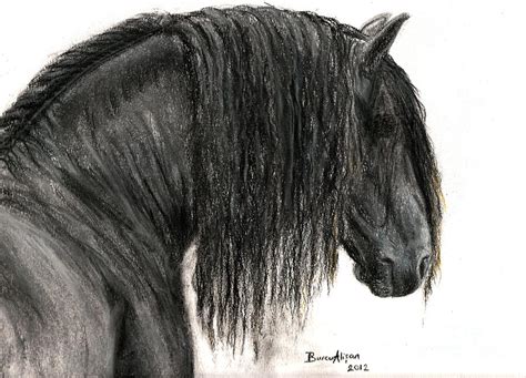 Friesian Horse Drawing at PaintingValley.com | Explore collection of ...