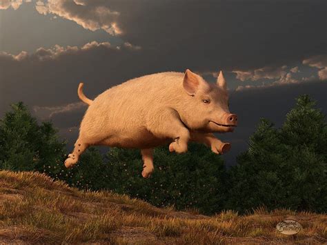 Racing Pig Digital Art by Daniel Eskridge - Fine Art America