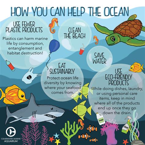 Six Ocean-Friendly Habits to Protect Marine Life | Conservation ...
