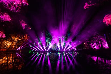 Scotland's light and sound show - The Enchanted Forest