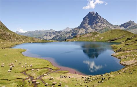 Pyrenees Wallpapers - Top Free Pyrenees Backgrounds - WallpaperAccess