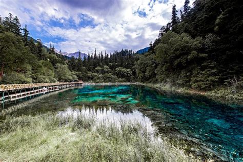 Five Flowers Lake China