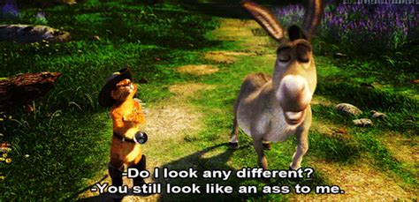 Shrek Donkey Quotes. QuotesGram