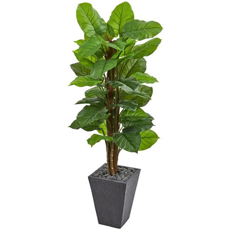 5ft artificial plants information | chocmales