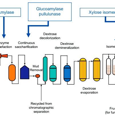 (PDF) Microbial enzymes produced by fermentation and their applications in the food industry -A ...