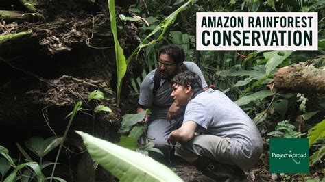 Amazon Rainforest Conservation with Projects Abroad @ Taricaya Ecological Reserve (Peru) - YouTube