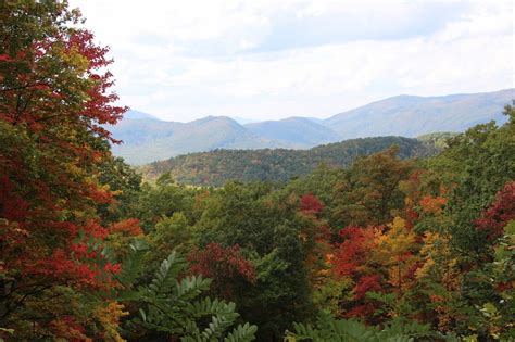 Pigeon Forge Fall Foliage Is in the Weather Forecast!