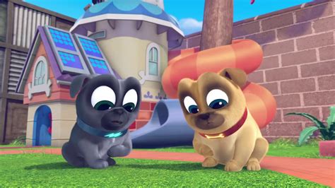 Puppy Dog Pals Bingo And Rolly Stomach Growling - YouTube