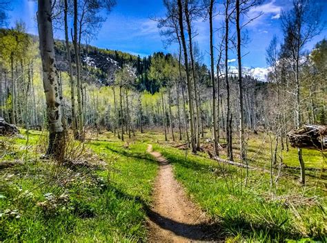 Spring Creek Trail photo || SINGLETRACKS.COM