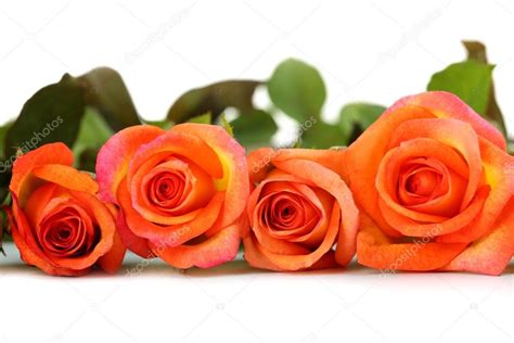 Bouquet of orange roses — Stock Photo © 5seconds #84221280