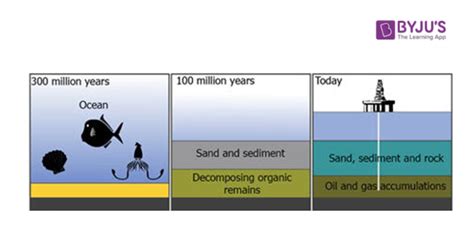 Petroleum Formation