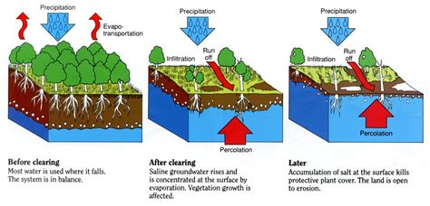 Salinity - Biology Resources