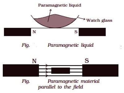 Properties of Paramagnetic Materials - QS Study