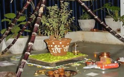 Tulsi Vivah Puja Benefit: तुलसी विवाह पूजा के फायदे, विधि, शुभ मुहूर्त ...