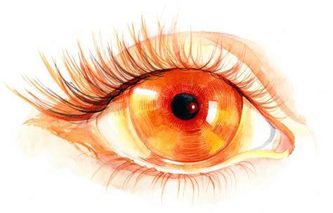How Common Is Dry Eye Syndrome? | Dry Eye Information | TheraLife