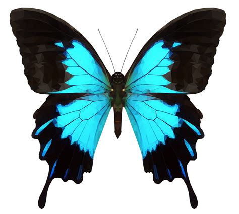 Moth clipart transparent tumblr, Moth transparent tumblr Transparent ...