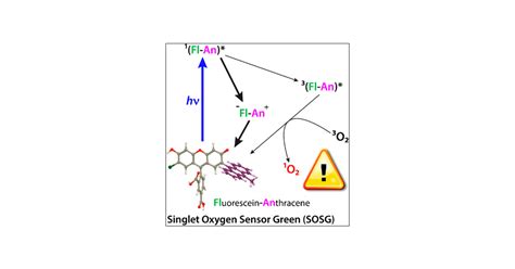 Photochemistry of Singlet Oxygen Sensor Green | The Journal of Physical ...