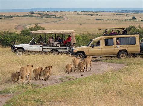 Tanzania Safari Tours - Africa Tour Operators