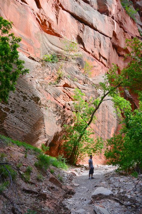 Hike Spring Creek Canyon | Kanarraville | Southern Utah | The Salt Project